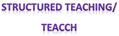 Structured Teaching/TEACCH