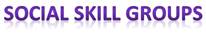 Social Skill Groups